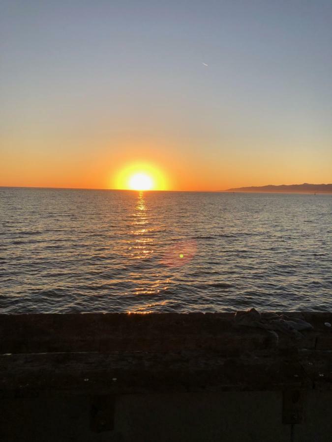 Fantastic Marina View In Front Of My Window! Apartment Los Angeles Bagian luar foto